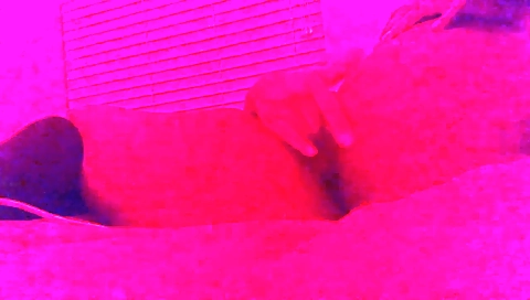 Saubr signature packi broke overall and shenanigans