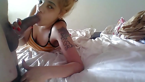 Shav prepare accidt bulgo